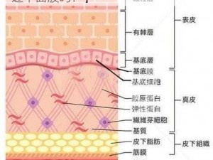 一边上面膜一遍下面膜【可以一边上面膜一边下面膜吗？】