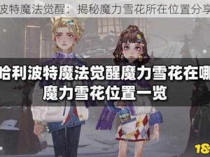 哈利波特魔法觉醒：揭秘魔力雪花所在位置分享之旅