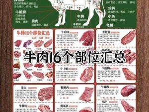 创新魔法牛肉烹饪秘籍：探索独特风味牛肉食谱的奇幻之旅