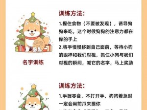 明日之后：如何有效训练宠物狗成为忠诚伙伴的秘诀