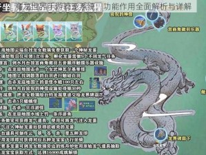 魔龙世界手游骑宠系统：功能作用全面解析与详解