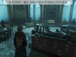 哈利波特：魔法觉醒之旅探寻神秘公共休息室