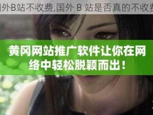 国外B站不收费,国外 B 站是否真的不收费？