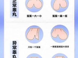 初二体检检查睾丸大小 初二体检都检查什么项目？睾丸大小会检查吗？