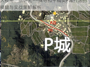 和平精英：P城战术深度解析与细节分析之路大视角、细研究——探寻和平精英P城打法的精髓与实战策略解析