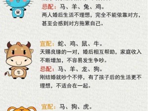 命带金神释义：探寻命理中的财富与命运交汇之谜