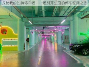 探秘我的独特停车场：一场别开生面的停车空间之旅