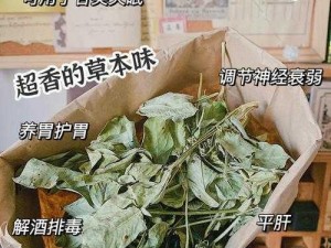 大香煮焦成品 75：有效缓解疼痛的天然草本配方，但使用时需注意用量和使用方法