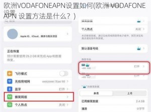 欧洲VODAFONEAPN设置如何(欧洲 VODAFONE APN 设置方法是什么？)