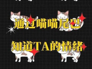 猫之城情绪测试攻略：掌握选择与解析策略，轻松洞悉答案之道