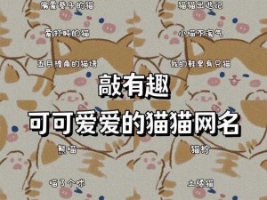 猫咪海外地域永久网名，畅享全球网络自由