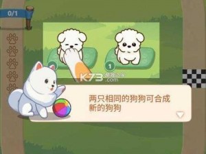 奔跑吧狗狗：详细安装与配置指南教程