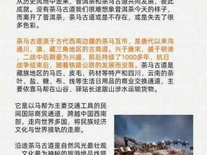 历史铁则：第八关如何通过不可改变的历史考验的探究之路