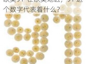 欧美91-在欧美地区，91 这个数字代表着什么？