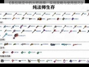 《泰拉瑞亚中的火把选择：实战攻略与使用技巧》