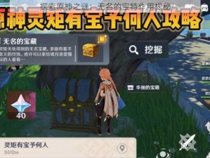 探索原神之谜：无名的宝特作用揭秘