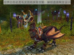 魔兽世界白色幼龙毛发图纸获取攻略：解锁盘曲蜿变设计秘法