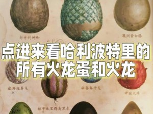 哈利波特隆巴顿龙蛋召唤流卡组攻略：策略深度解析与实战应用指南