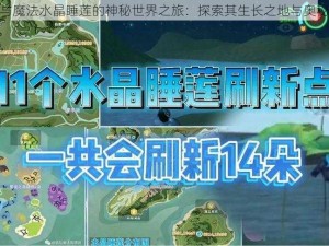 创造与魔法水晶睡莲的神秘世界之旅：探索其生长之地与奥秘功能