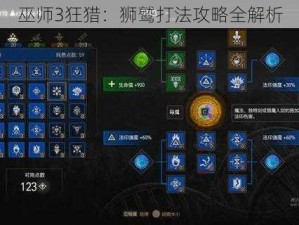 巫师3狂猎：狮鹫打法攻略全解析