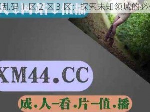 无人区乱码 1 区 2 区 3 区：探索未知领域的必备工具