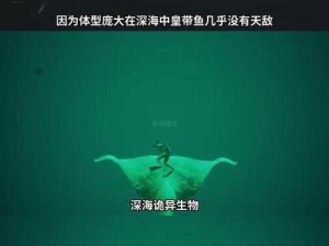 关于幻塔龙虾Boss的震撼揭秘：深海巨兽介绍