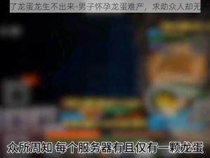 男子怀了龙蛋龙生不出来-男子怀孕龙蛋难产，求助众人却无人能解