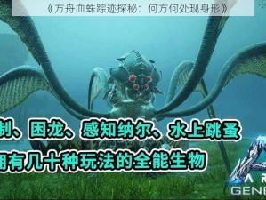 《方舟血蛛踪迹探秘：何方何处现身形》