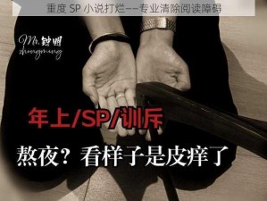 重度 SP 小说打烂——专业清除阅读障碍