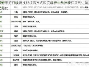 大话西游手游召唤兽技能领悟方式深度解析：从技能获取到进阶应用的全流程揭秘