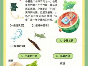 桃源深处有人家小暑节气活动指南：南风迎暑，探索夏日桃源乐趣