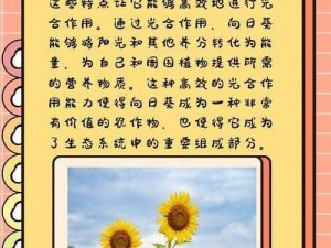 关于创造与魔法纳坦向日葵种子的应用与效用：全面解析与利用其特点的新视角