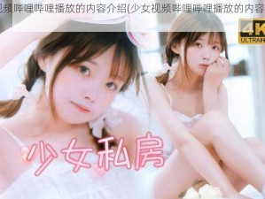 少女视频哔哩哔哩播放的内容介绍(少女视频哔哩哔哩播放的内容是什么？)