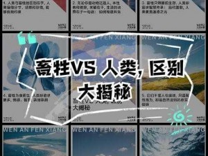 人与畜禽的关系、人与畜禽应该如何和谐共处？