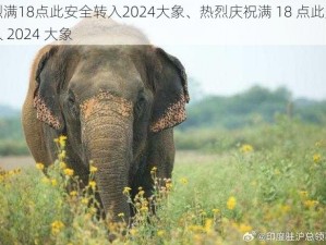 热烈满18点此安全转入2024大象、热烈庆祝满 18 点此安全转入 2024 大象