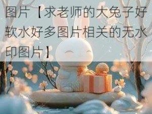 老师的大兔子好软水好多图片【求老师的大兔子好软水好多图片相关的无水印图片】