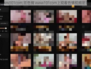 色情www101com;在色情 www101com上观看色情视频是否违法？