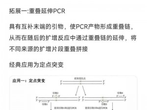 PCR 2024卡池：探索新技术在基因测序领域的应用与挑战分析