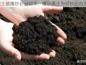 黑土被爆炒炒出白水、爆炒黑土为何炒出白水？