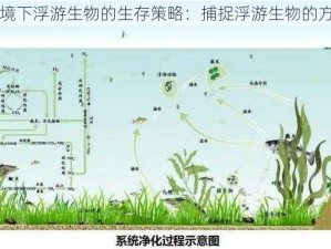 缺氧环境下浮游生物的生存策略：捕捉浮游生物的方式介绍