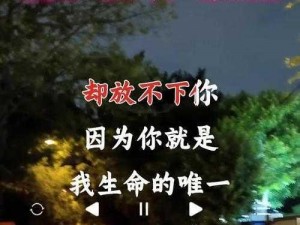 抖音相遇佳缘曲：错时错地遇佳人情歌新篇，抖音错遇时刻遇见对的人旋律之选