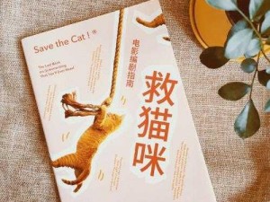 全民救猫咪电脑版下载指南及详细安装说明