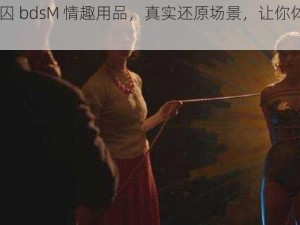 sAuvid 捆绑女囚 bdsM 情趣用品，真实还原场景，让你体验前所未有的刺激