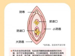 女生会把隐私透露给异性朋友、女生一般会把隐私透露给哪种异性朋友？