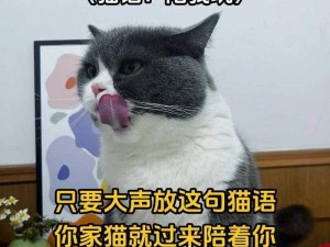 猫语咖啡官网地址探索：如何找到猫语咖啡官方网站