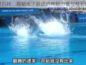 浪里白跳：揭秘水下跃动的神秘力量与精彩瞬间