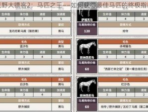 荒野大镖客2：马匹之王——如何获得最佳马匹的终极指南