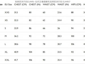 探索欧洲尺码EU44N—如何正确理解和选择欧洲尺码 EU44N？