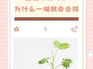 馠秀草在线观看-如何在线观看馠秀草？