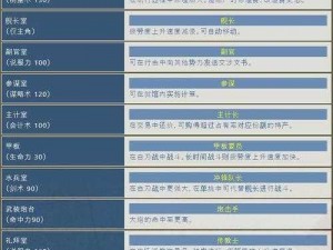 大航海时代：海上霸主——安装与配置全攻略